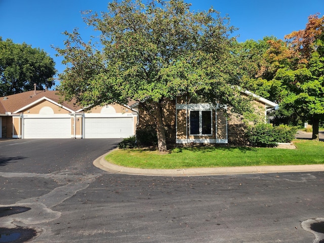2119 Glenhaven Ln N, Brooklyn Park, MN 55443 - photo 3
