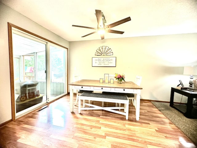 420 Garden Rd, Albert Lea, MN 56007 - photo 5