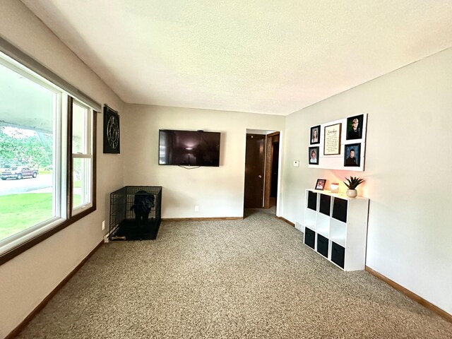 420 Garden Rd, Albert Lea, MN 56007 - photo 6