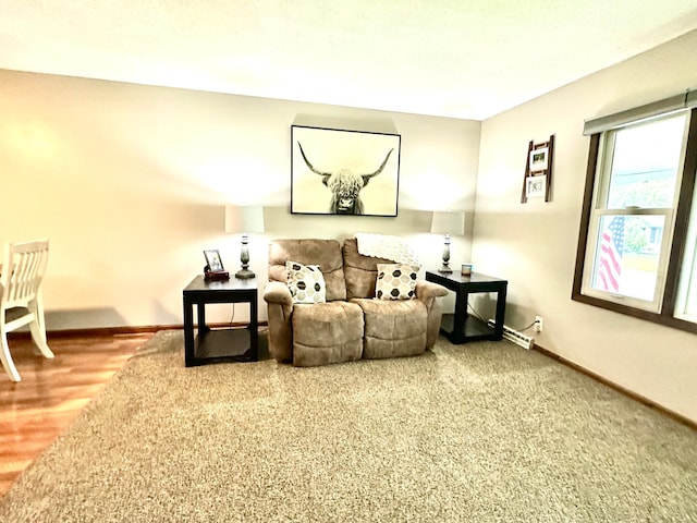 420 Garden Rd, Albert Lea, MN 56007 - photo 7