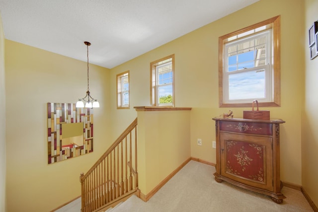 9902 Toledo Dr N, Brooklyn Park, MN 55443 - photo 19