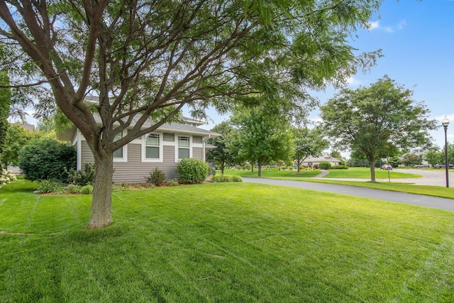 9902 Toledo Dr N, Brooklyn Park, MN 55443 - photo 31
