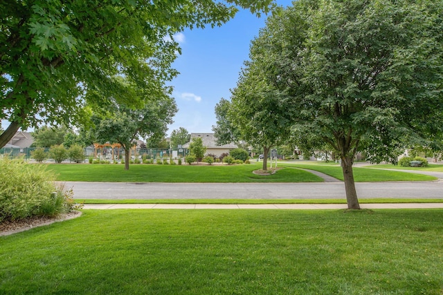 9902 Toledo Dr N, Brooklyn Park, MN 55443 - photo 36