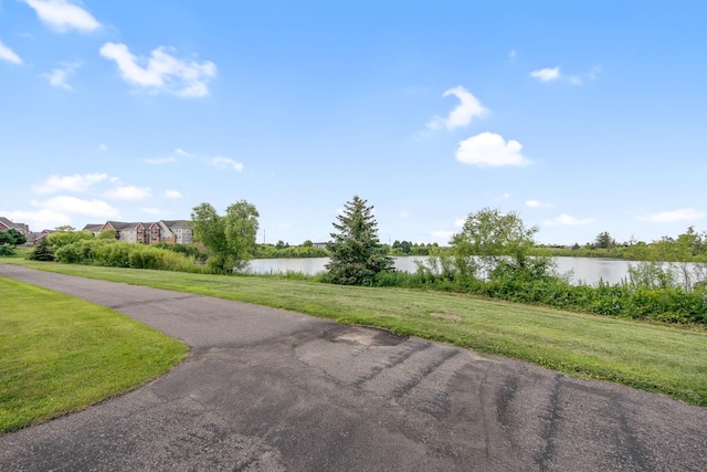 9902 Toledo Dr N, Brooklyn Park, MN 55443 - photo 39