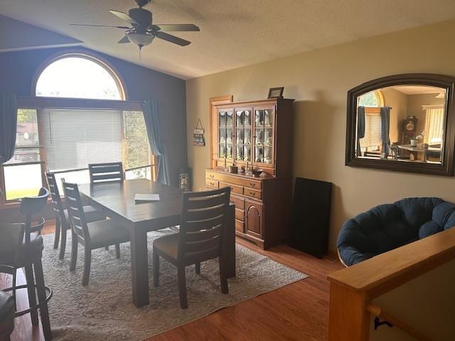 2913 Crestwood Dr NE, Alexandria Twp, MN 56308 - photo 16