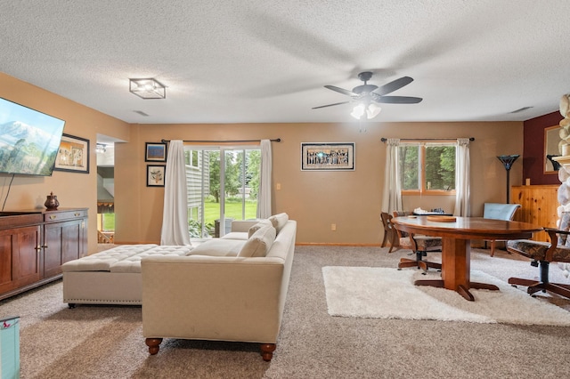 2913 Crestwood Dr NE, Alexandria Twp, MN 56308 - photo 28