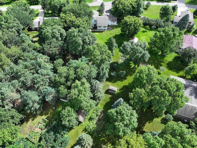 2913 Crestwood Dr NE, Alexandria Twp, MN 56308 - photo 54