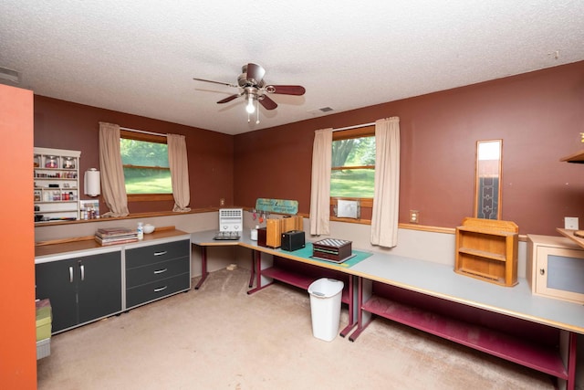 4176 Plum Creek Rd, Elko, MN 55020 - photo 13