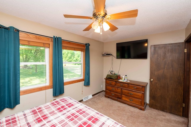 4176 Plum Creek Rd, Elko, MN 55020 - photo 17