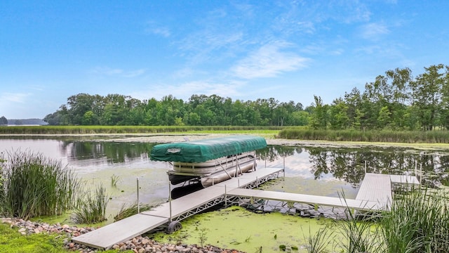 27633 305th Ave, Lake Holcombe Twp, WI 54745 - photo 34