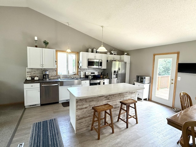 72537 237th St, Dassel, MN 55325 - photo 2