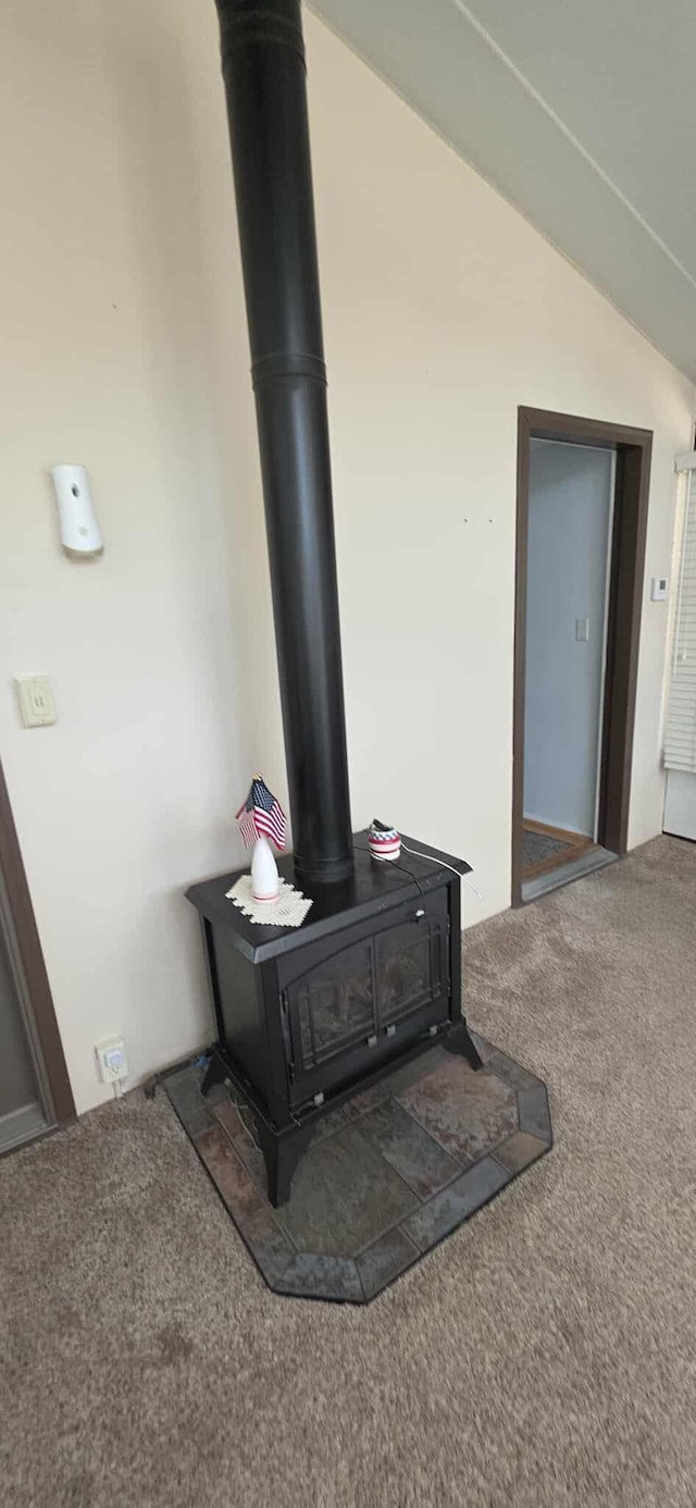 210 Giles Pl, Albert Lea, MN 56007 - photo 19