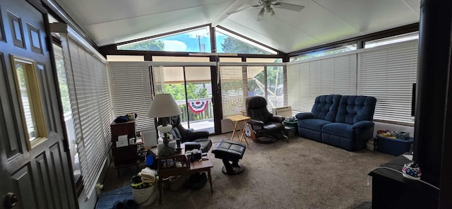 210 Giles Pl, Albert Lea, MN 56007 - photo 20