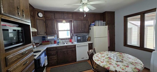 210 Giles Pl, Albert Lea, MN 56007 - photo 28