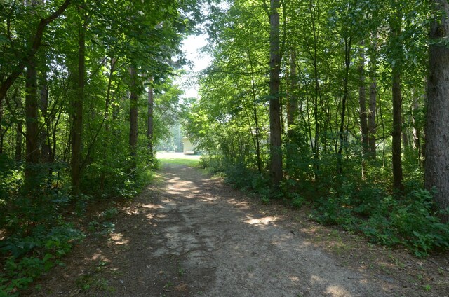 19035 Fillmore St NE, East Bethel, MN 55011 - photo 38