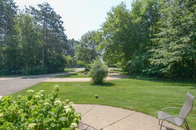 19035 Fillmore St NE, East Bethel, MN 55011 - photo 43
