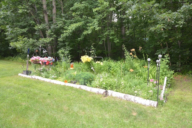 32375 US Highway 169, Onamia Twp, MN 56359 - photo 11