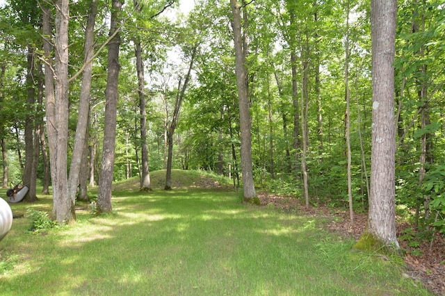 32375 US Highway 169, Onamia Twp, MN 56359 - photo 15