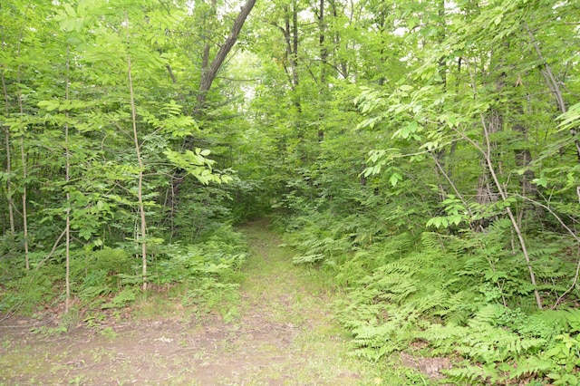 32375 US Highway 169, Onamia Twp, MN 56359 - photo 17