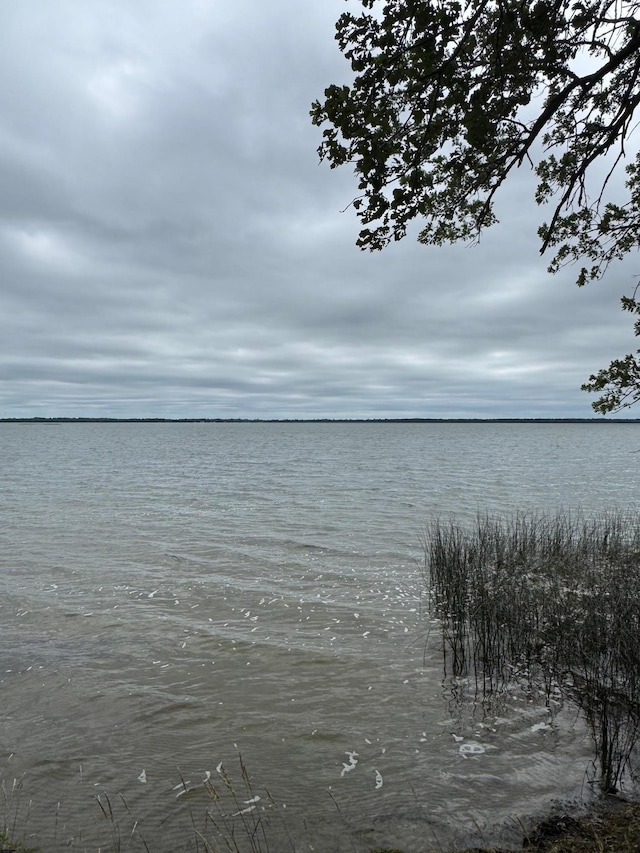 32348 Trumpeter Loop, Dent, MN 56528 - photo 18