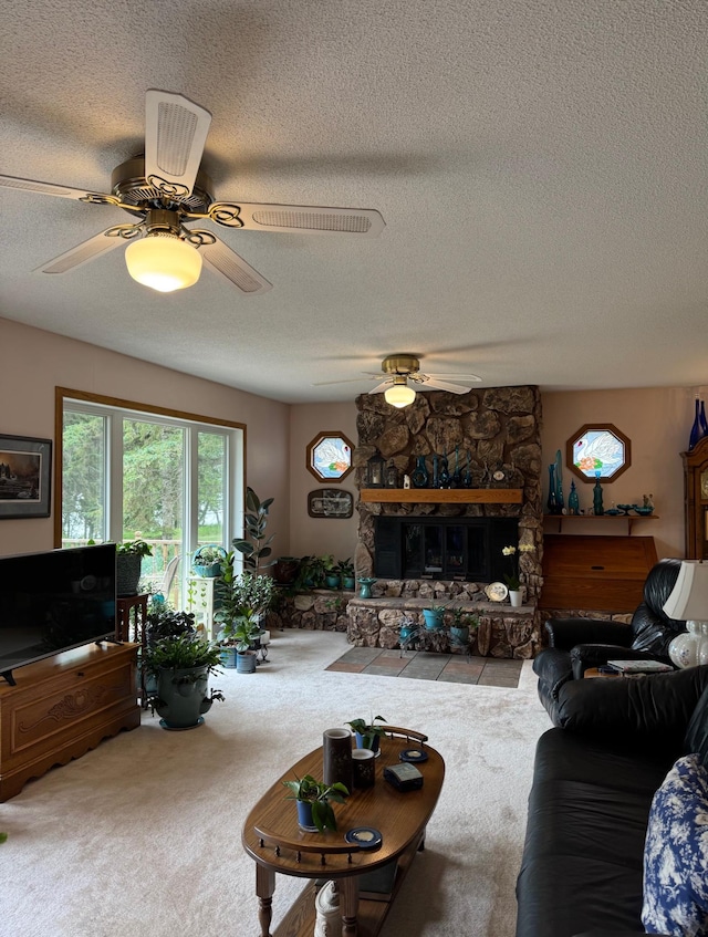 32348 Trumpeter Loop, Dent, MN 56528 - photo 26