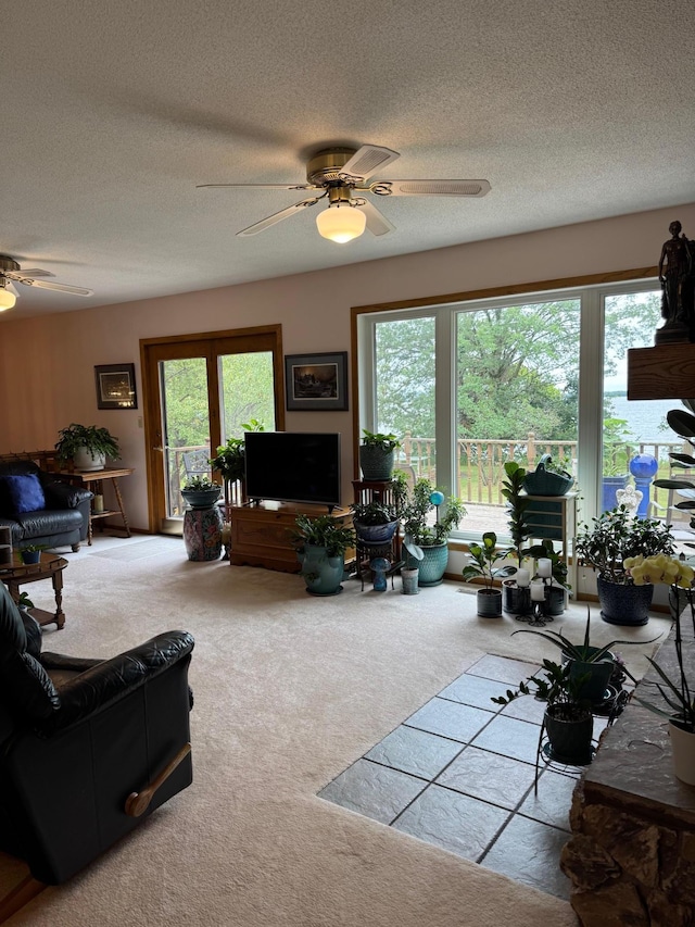 32348 Trumpeter Loop, Dent, MN 56528 - photo 27