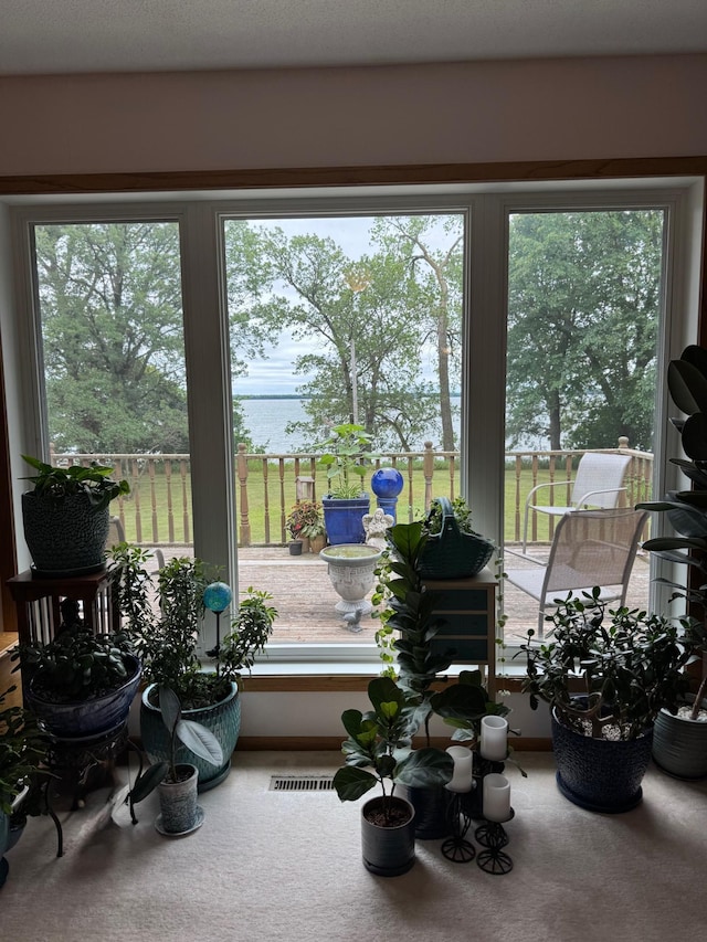 32348 Trumpeter Loop, Dent, MN 56528 - photo 28