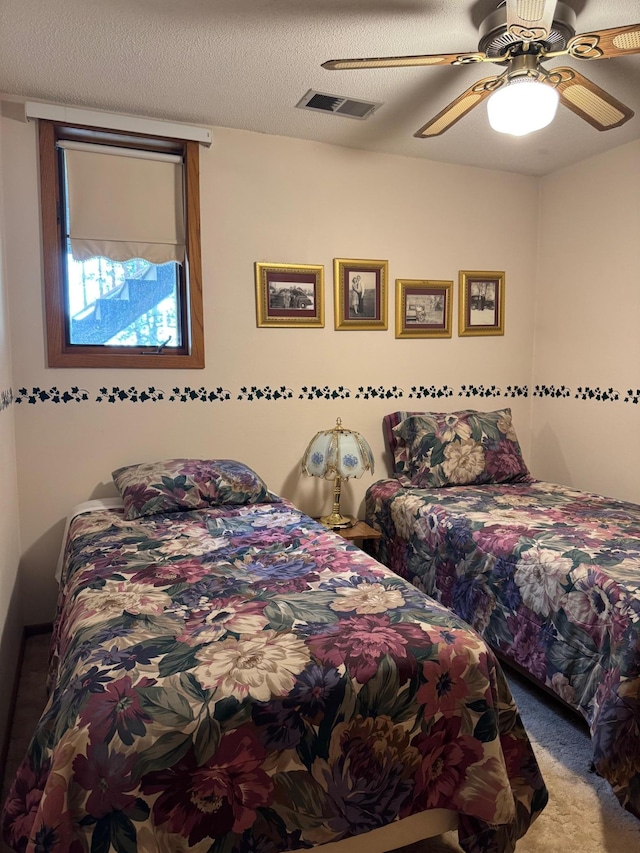 32348 Trumpeter Loop, Dent, MN 56528 - photo 35
