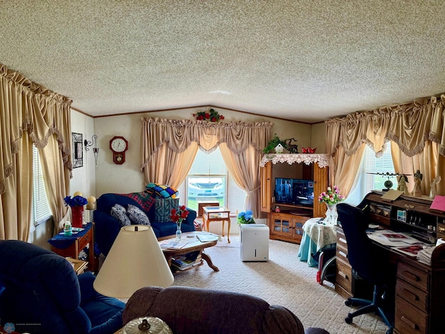16288 220th Ave NE, Silverton Twp, MN 56701 - photo 9