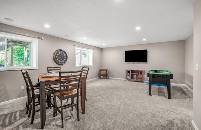 1823 Red Oak Rdg, Carver, MN 55315 - photo 18
