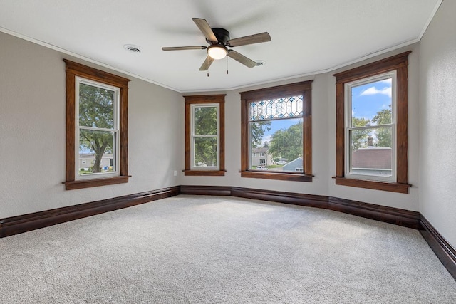 206 Laurel St, Arco, MN 56113 - photo 31