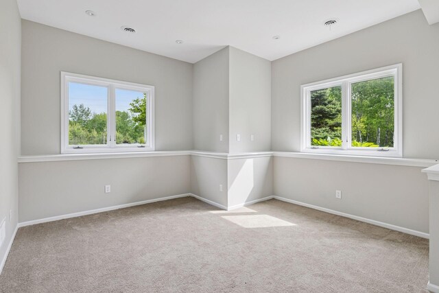 17032 Valley Dr NW, Andover, MN 55304 - photo 52