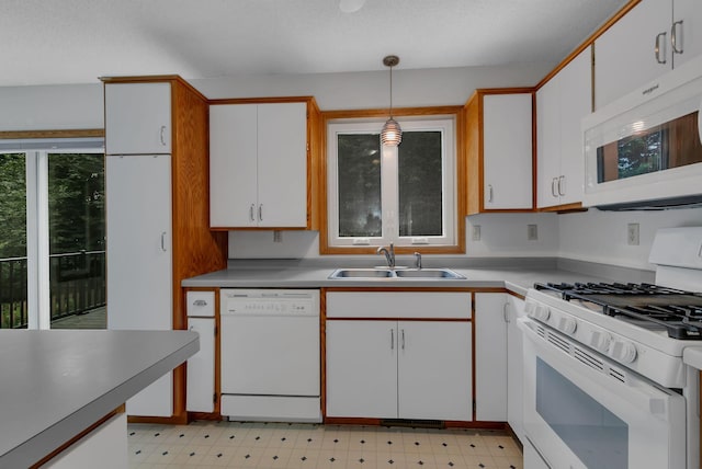 210 12th St N, Sartell, MN 56377 - photo 5
