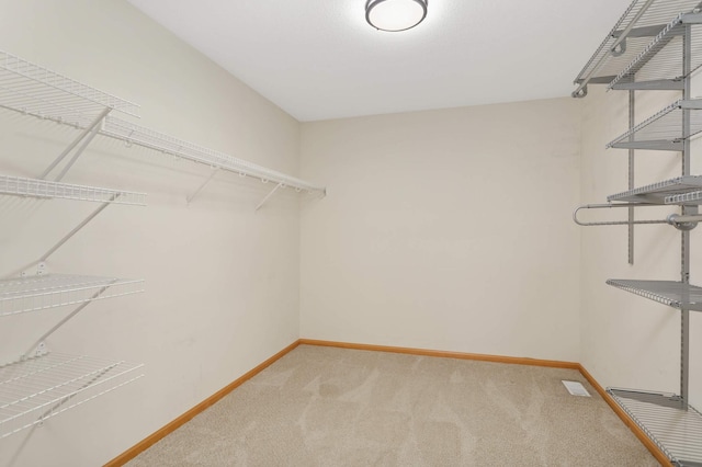 11736 Ivywood Trl, Woodbury, MN 55129 - photo 29