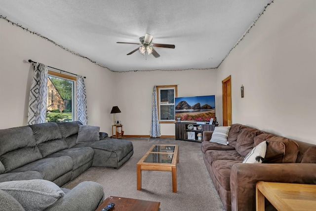 315 Elm St S, Sauk Centre, MN 56378 - photo 8