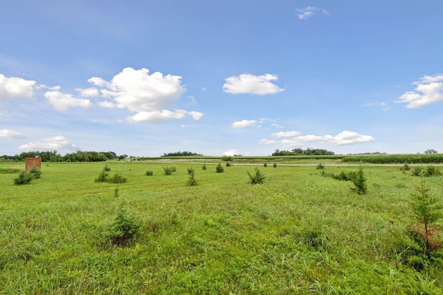 81647 559th St, Preston Lake Twp, MN 55314 - photo 14