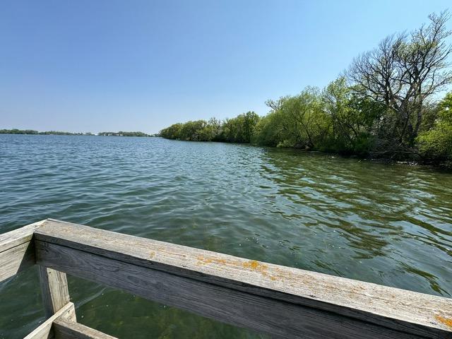 81647 559th St, Preston Lake Twp, MN 55314 - photo 19