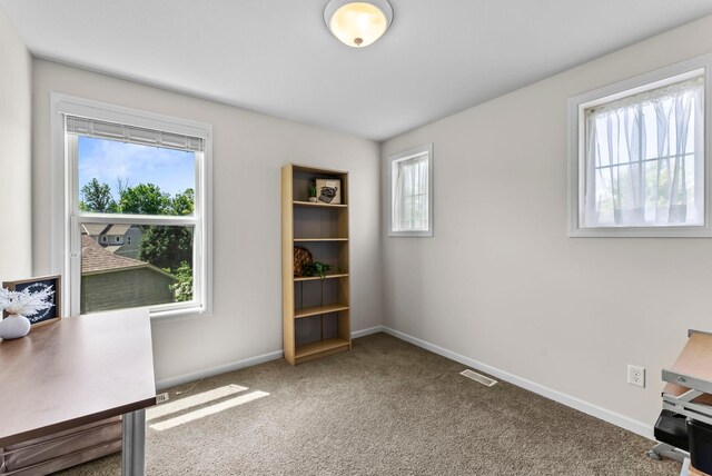 5100 Merrimac Ln N, Plymouth, MN 55446 - photo 57
