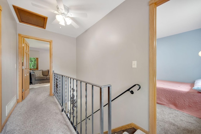 8775 Maplebrook Pkwy N, Brooklyn Park, MN 55445 - photo 22