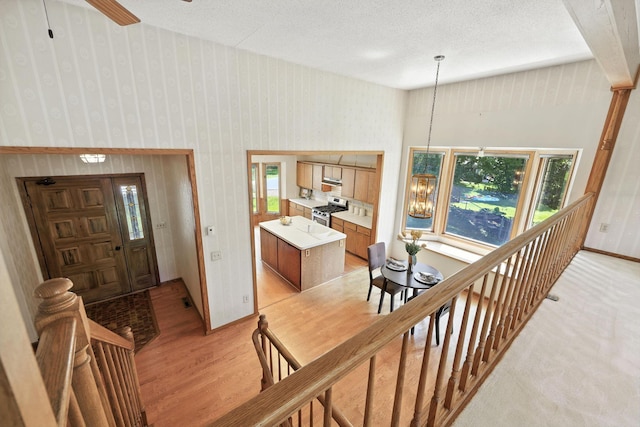 11509 Welcome Cir N, Champlin, MN 55316 - photo 2