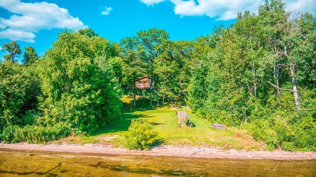 41185 Winnie Dr, Deer River, MN 56636 - photo 1