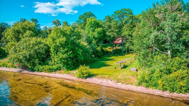 41185 Winnie Dr, Deer River, MN 56636 - photo 41