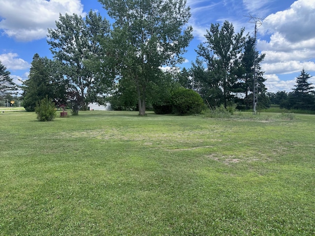 29177 243rd St, Harding, MN 56364 - photo 3