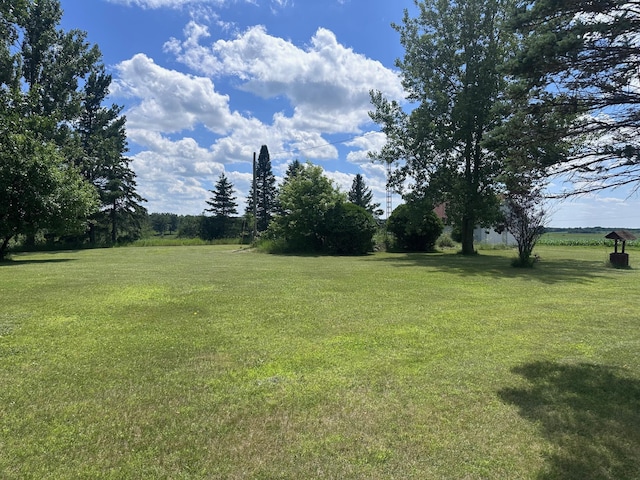 29177 243rd St, Harding, MN 56364 - photo 5