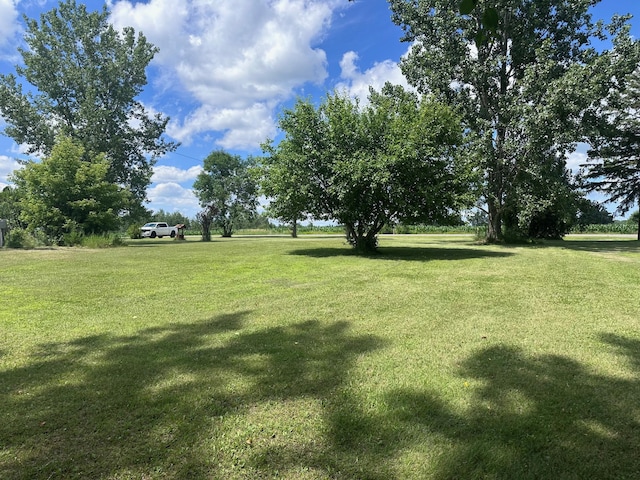 29177 243rd St, Harding, MN 56364 - photo 7