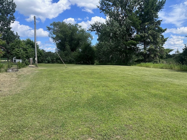 29177 243rd St, Harding, MN 56364 - photo 12