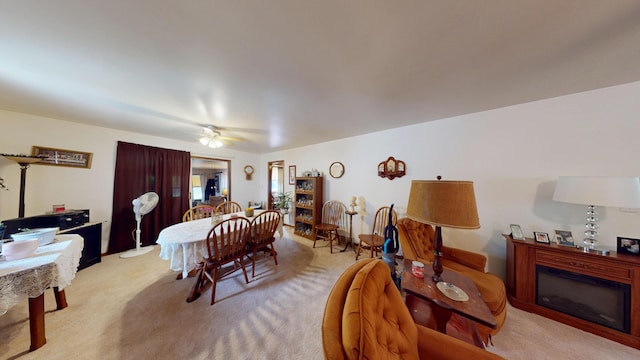 1009 James Ave, Albert Lea, MN 56007 - photo 4
