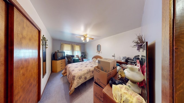 1009 James Ave, Albert Lea, MN 56007 - photo 10