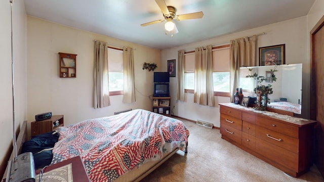 1009 James Ave, Albert Lea, MN 56007 - photo 13