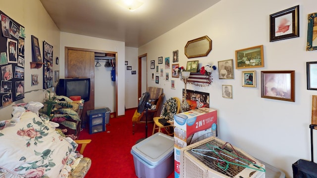 1009 James Ave, Albert Lea, MN 56007 - photo 15
